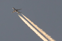 G-LCYM